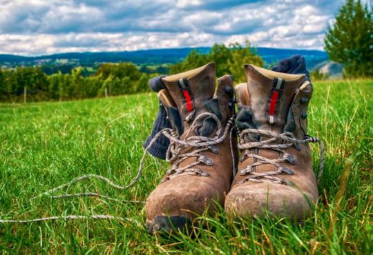 Wander Tipps