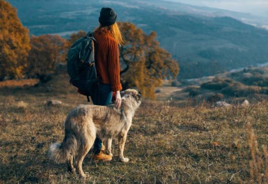 Wandern mit Hund