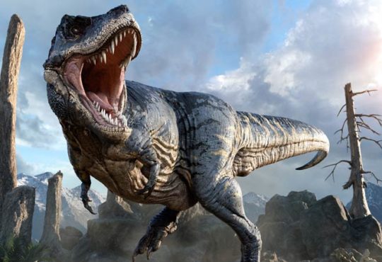War T-Rex tatsächlich größer als angenommen?